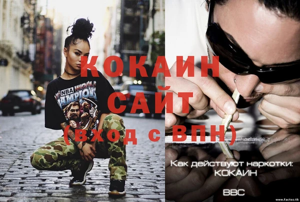 ПСИЛОЦИБИНОВЫЕ ГРИБЫ Абаза