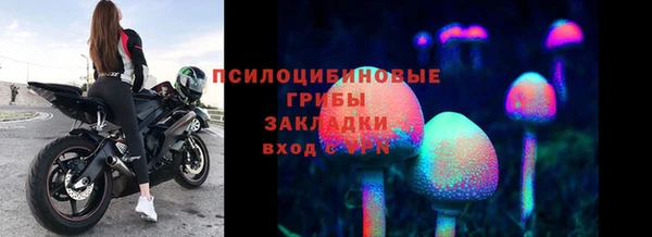 герыч Алексин