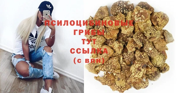 герыч Алексин