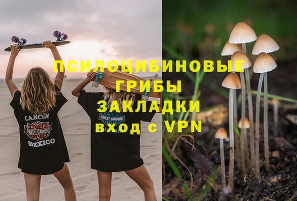 герыч Алексин