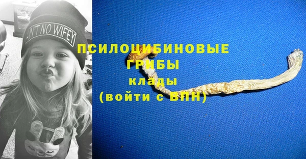 стаф Алексеевка