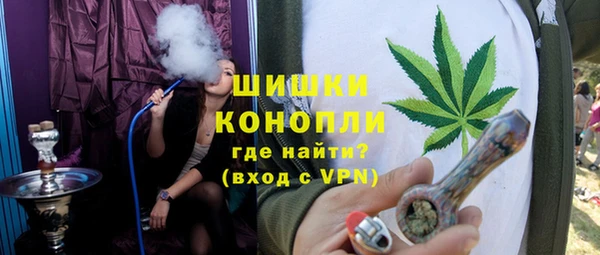 ПСИЛОЦИБИНОВЫЕ ГРИБЫ Абаза