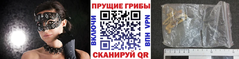 Галлюциногенные грибы прущие грибы Северская