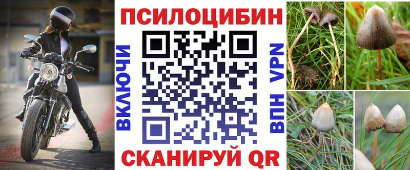 кракен ТОР  наркотики  Северская  Галлюциногенные грибы Psilocybe 